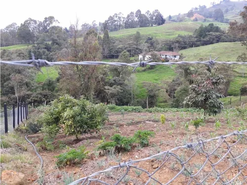 Finca En Vender En Medellín