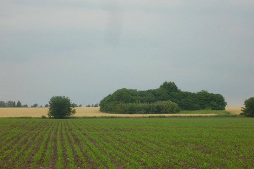 Imagen 2 de 30 de Casa De Campo. San Antonio De Areco En Complejo De Chacras
