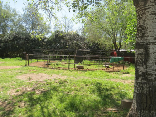 Imagen 24 de 30 de Chacra De 10 Hectareas En Barrio Miralejos - Pilar - Reynolds Propiedades
