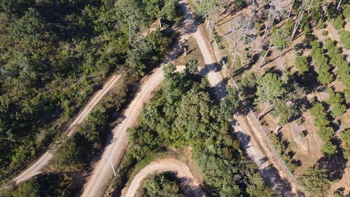 Terrenos En Venta En El Bosque Cercano A Tapalpa, Sayula Y San Gabriel