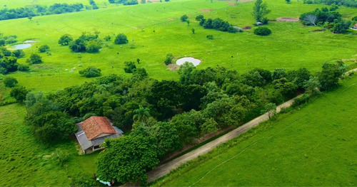 Sítio Terreno 42,000m2 Conchas Sp