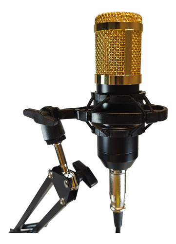 Kit Streaming Microfono Estudio Atril Filtro Bm800k Cipriani