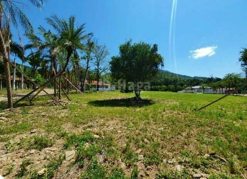 Imagem 6 de 6 de Chácara À Venda No Bairro Oliveira - Tijucas/sc - 1962c