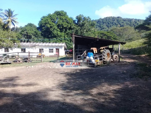 En Venta Extensa Finca San Agustin De 369 Hectareas De Capacidad Maxima Aprovechada De 1500 Animales De Engorde, Ideal Para Levante, Engorde, Leche Y Siembra.