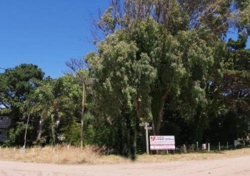 Imagen 4 de 7 de Oportunidad Retasado- Lote Multifamiliar En Mar De Ostende- Pinamar-