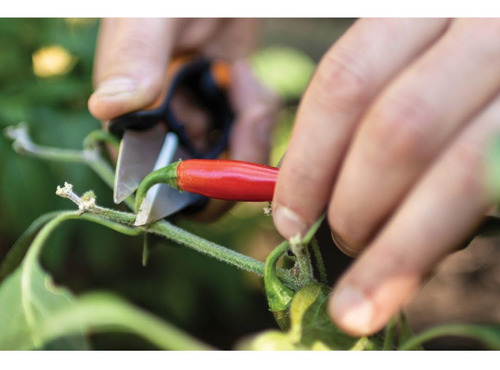 Tijeras De Jardín Para Hierbas 12.7 Cm Con Funda Y Mango Sof