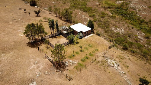 Imagen 7 de 29 de Chacra 3 Dormitorios En Abra De Perdomo, Punta Ballena