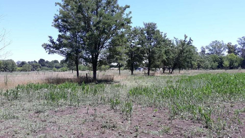 Imagen 2 de 5 de Lote De 2 Hectareas