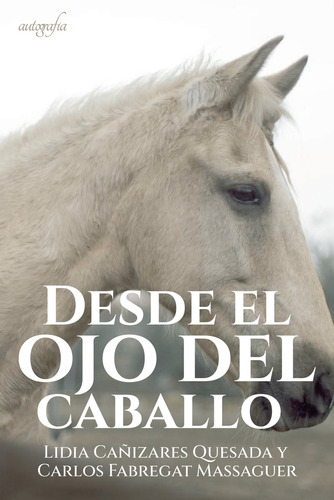Desde El Ojo Del Caballo