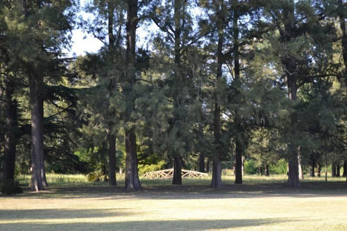 Lote Zona Polo General Rodríguez 32 Hectáreas