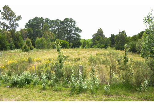 Venta, Terreno, Ruta 101, Sobre Bypass Pando.