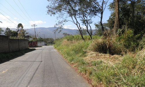Imagen 10 de 12 de Gustavo Zavala Rentahouse 21-17077