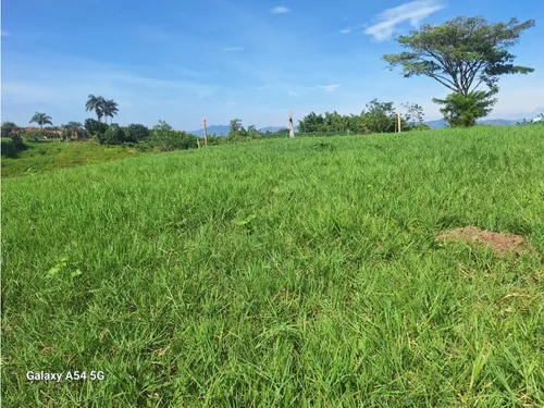 Venta Lotes En Quimbaya -quindío Colombia Cod: 7555717