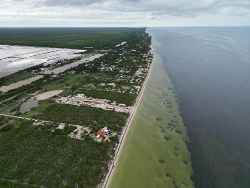 Terreno En Venta, Frente A Playa En San Crisanto, Yucatán