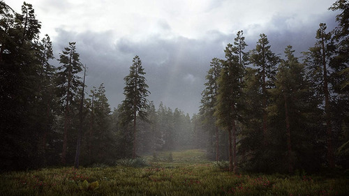 Hunting Simulator 2 - Playstation 4