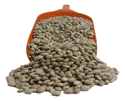 Frijol Pinto Americano 10 Kg (producto A Granel)