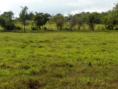 Imagen 2 de 27 de Se Vende Finca En Caicara De Maturin Sec Bajo Gde Ve02-1143cai-mtru