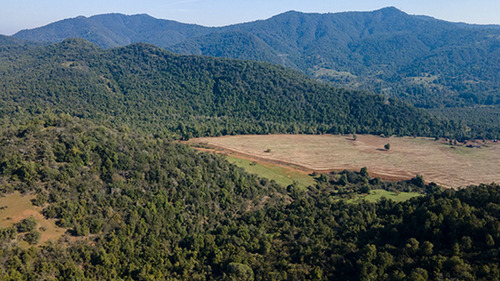 Imagen 6 de 20 de Lomas De Huemul