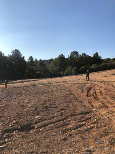 Imagem 16 de 28 de Terreno À Venda, 300 M² Por R$ 115.000,00 - São Giácomo - Caxias Do Sul/rs - Te0190