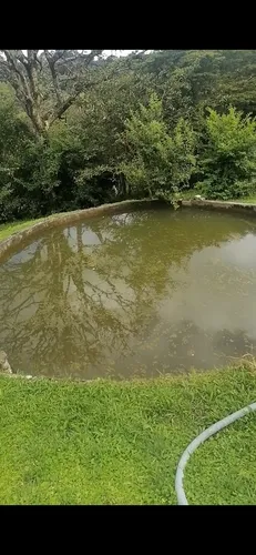 Se Vende Finca En La Vereda El Mango