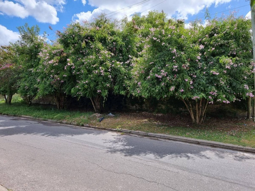 Imagen 5 de 8 de Venta. Lote En Esquina. 77 Y 116