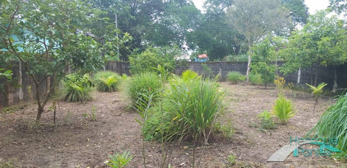 Imagem 2 de 6 de Terreno No Bairro Belmira Novaes Em Peruíbe - Te00166