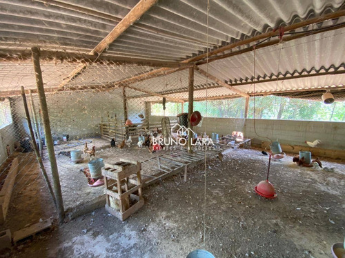 Imagem 17 de 30 de Sítio À Venda Em Igarapé Bairro Jardim Vila Rica - Si0095