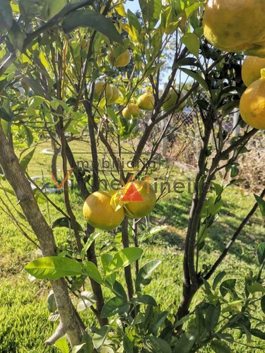 Imagem 6 de 15 de Sítio Para Venda Em Itatiaiuçu - 70510_2-1223966