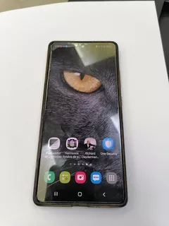 Celular Samsung Galaxi S10 Lite Usado