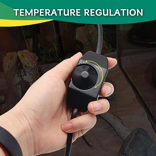 Para Lámpara Para Reptiles, Lámpara De Calor Para Terrario