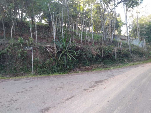 Imagem 4 de 4 de V13- Mega Oportunidade