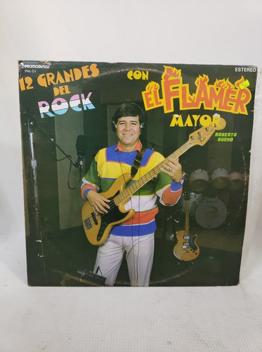 12 Grandes Del Rock Con El Flamer Disco Lp Vinilo Acetato 