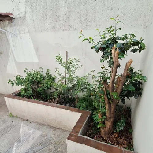 Casa En Renta En Centro