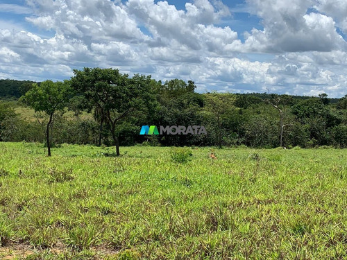 Imagem 7 de 10 de Fazenda - Zona Rural - Ref: 4896 - V-mta4896