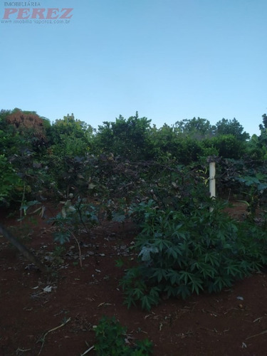 Imagem 14 de 22 de Chácaras_sítios_fazendas Para Venda - 13650.8059