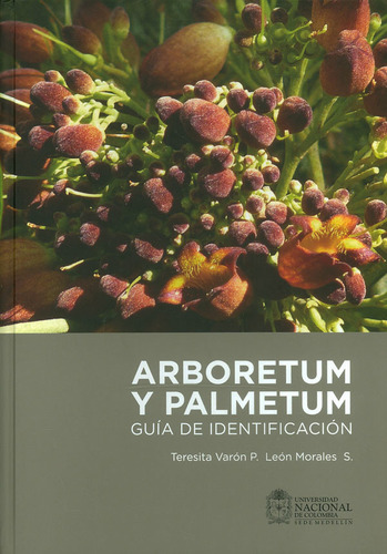 Arboretum Y Palmetum