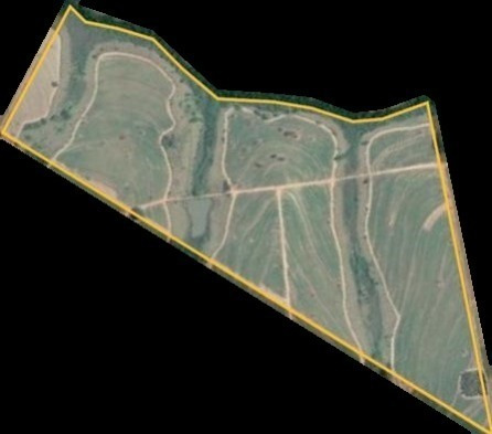 Imagem 1 de 1 de Fazenda Para Venda Em Tanabi-sp, Com 40 Alqueires Sendo 27 Alqueires Em Cana Arrendada, Represa Grande, Pasto E Córrego Na Divisa - Fa00289 - 69587012
