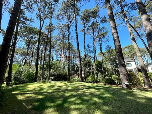 Imagen 6 de 16 de Venta Casa De 4 Dormitorios En Laguna Blanca, Manantiales