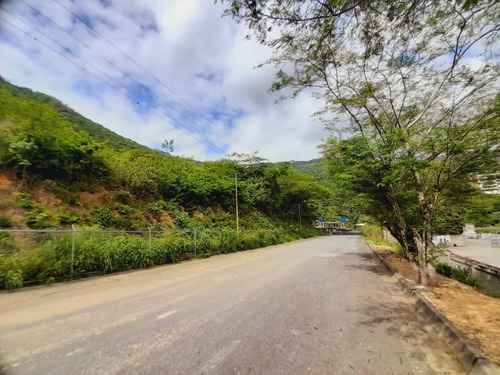 Imagen 6 de 30 de Terreno En Mampote Mls: 23-6747 (linda Sahhar)