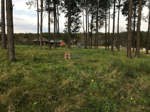 Venta- Terreno Chacras Del Pinar Maldonado Sla5907840