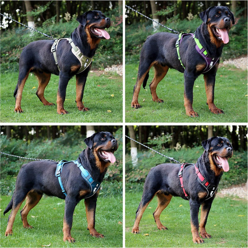 Pechera Arnes Perro Grande Mediano Chico Pequeño Con Correa