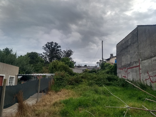 Imagen 4 de 7 de Terreno