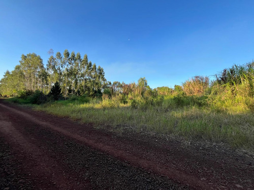 ¡gran Lanzamiento! Loteo Bernal, Km10 De Eldorado - Misiones