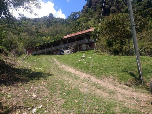 Se Vende Finca En San Pedro Valle 