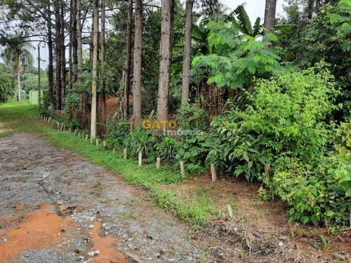 Chácara Para Venda Em Cajamar, Ponunduva - 21117_1-1794018