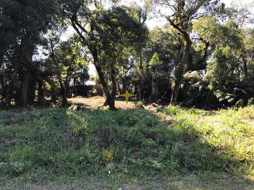 Imagem 2 de 5 de Terreno - 969