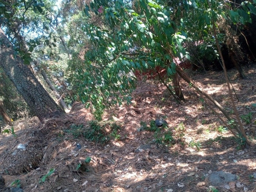 Imagen 9 de 12 de Terreno Fraccionamiento Real Monte Casino
