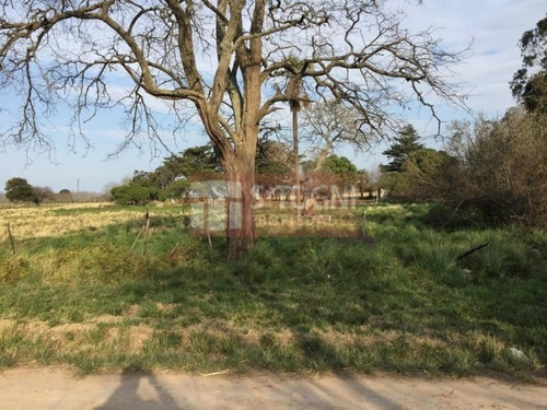 Imagen 5 de 10 de Venta Terrenos En Los Pinos !!