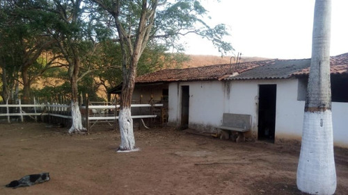 Chácara À Venda, 100000 M² Por R$ 700.000 - Zona Rural - Pirpirituba/pb - Ch0005