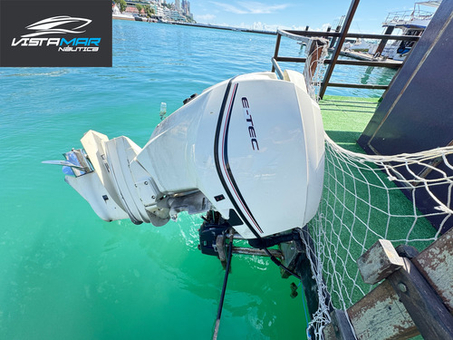Catamarã - Balsa 29 Pés 2022 Com Evinrude 115hp